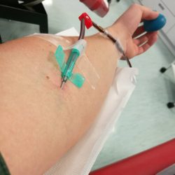 Анализ плазма крови как сдают thumbnail